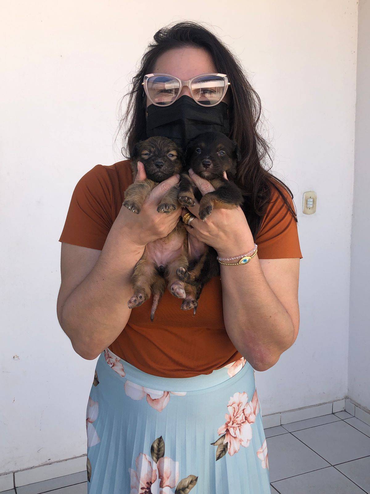Protetora cobra da Prefeitura abrigo para salvar animais condenados a morte em Teresina